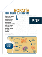 1 - Detoxificación y Drenaje Con Homeopatia Unitaria