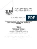 El Consumo de Cocaína y La Relacion Familiar, Relacion de Pares y Autoestima PDF