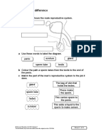 Spot The Difference Worksheet Reproduction