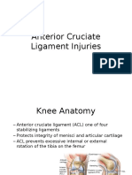 Anterior Cruciate Ligament Injuries