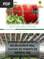 2013 12-16-01a Sistema Hidroponico Recirculante Ngs en Tomate e Invernaderos de Nueva Generacion Antonio Oliva 1412577405