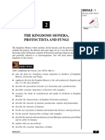 Monera, Protista Fungi