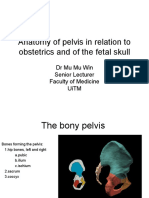 Anatomy of Pelvis and Fetal Skull