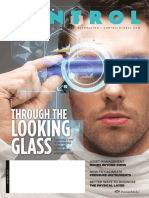 Through The: Looking Glass