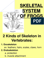 REVISED Skeletal System of The Frog 2 (PAOLO)