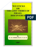 Two Sticks or The Lost Tribes of Israel Discovered PDF