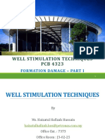 WST - Formation Damage Part 1