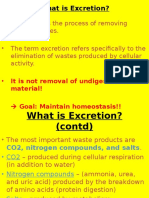 Excrection 1