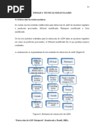 UNIDAD 3 Biol Molecular PDF