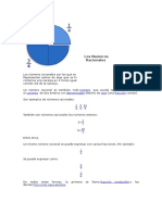 Los Números Racionales e Irracionales