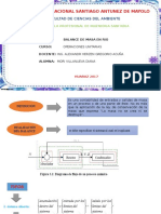 Balance de Masa en Rios-Diana Mori