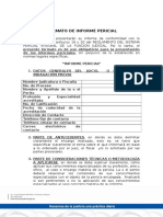 Formato de Informe Pericial