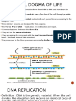 Central Dogma of Life