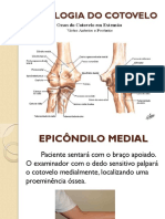 Osteologia Cotovelo e Punho