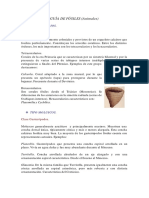 Guía de Fósiles PDF