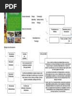 Cuadro Sinoptico Toxicologia