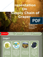 Supply Chain of Grapes - 1502002 - 1502022