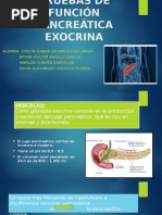 Pruebas de Funcion Pancreatica