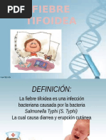 Diapositivas Fiebre Tifoidea