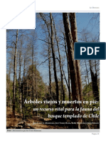 Arboles Viejos y Muertos en Pie Un Recurso Vital para La Fauna de Los Bosques Templados de Chile (Altamirano Et Al., 2012) PDF