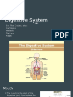 Digestive System Project 1