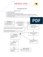 Microsoft Word - Esquema Juicio Oral PDF