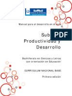 Manual Productividad