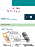 Sel Prokariot Dan Sel Eukariot