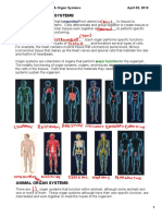 Organs and Organ Systems P1