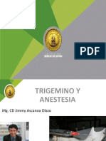 Trigemino y Anestesia