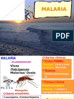 Malaria