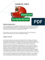 Taxonomía Del Tomate