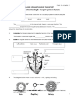 Blood Circulation and Transport Learning Objective: 2.1 Understanding The Transport System in Humans