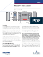 Dan - An - 42 NGC An Og Fundamentals PDF