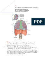 5.pleural Cavities