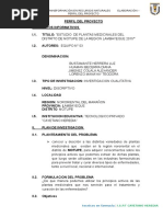 PDF Documento