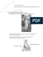 Plant 1 PDF