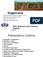 Sugarcanepptx2 160114124742