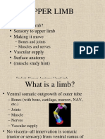 Upper Limb