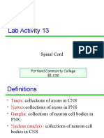 Lab 13 14