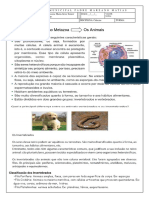 Metazoa Edicao 1 PDF