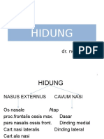 Hidung: Dr. Nomira