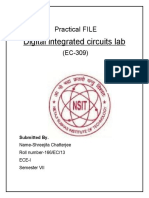 Digital Integrated Circuits Lab: Practical FILE