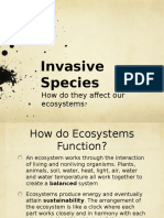 Invasive Species