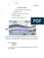 Invelisul Celular: Plasmalema: - Separa Mediul Intracelular de Cel Extracelular