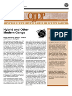 Hybrid and Other Modern Gangs: Office of Juvenile Justice and Delinquency Prevention