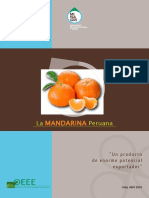 Inf Mandarina Final PDF