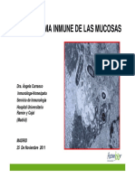 04 - Sindrome de Inflamacion de Las Mucosas