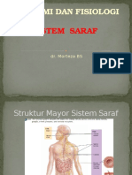 Anatomi Dan Fisiologi: Sistem Saraf