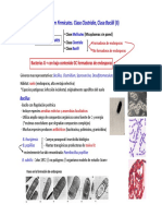 TEMA 10. Phylum Firmicutes. Clase Clostridia, Clase Bacilli (II)